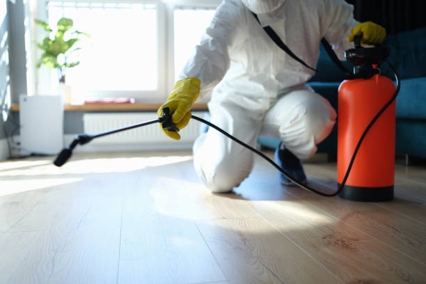 Reliable Biohazard Cleanup contractor in Piñon Hills, CA by Crime Scene Cleaner Online